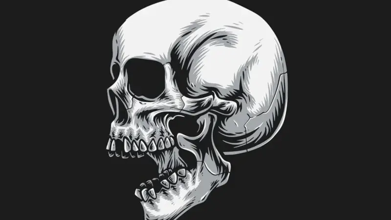 drawingoldj_7nsvxk= skull